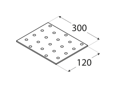 Plate straight PP21 300х120mm